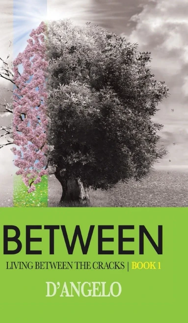 Between (1) (Living Between the Cracks) - Hardcover