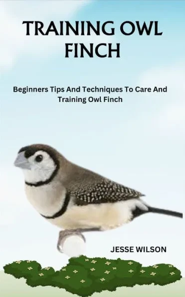 Training Owl Finch: Beginners Tips And Techniques To Care And Training Owl Finch