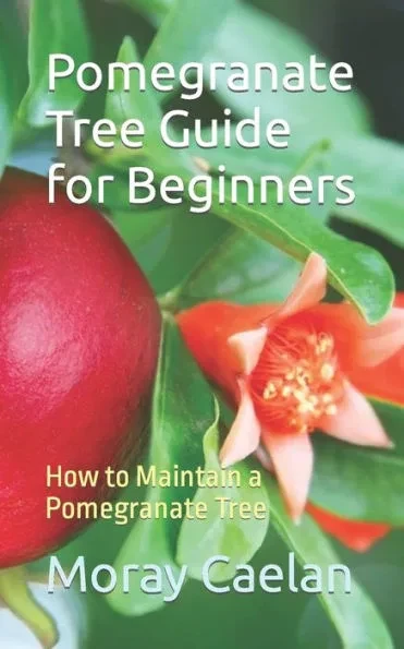 Pomegranate Tree Guide for Beginners: How to Maintain a Pomegranate Tree