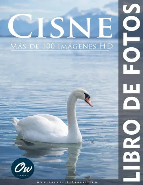 Cisne: Libro de fotos
