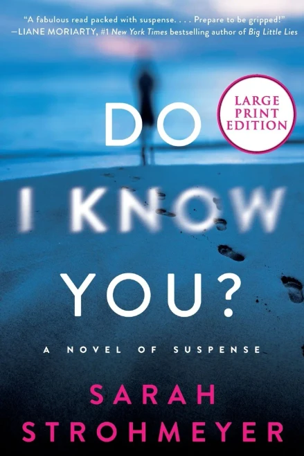 Do I Know You?: A Novel of Suspense - 9780063119352