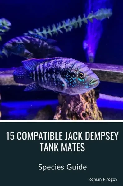 15 Compatible Jack Dempsey Tank Mates: Species Guide