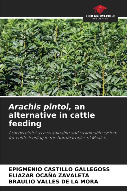 Arachis pintoi, an alternative in cattle feeding