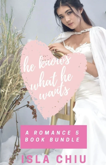 He Knows What He Wants: A Romance 5 Book Bundle