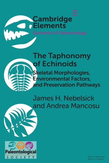 The Taphonomy of Echinoids (Elements of Paleontology)