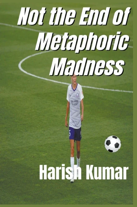 Not The End of Metaphoric Madness