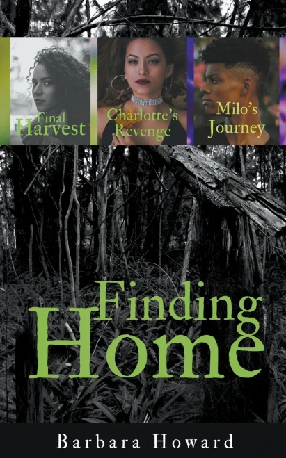 Finding Home Mystery Series