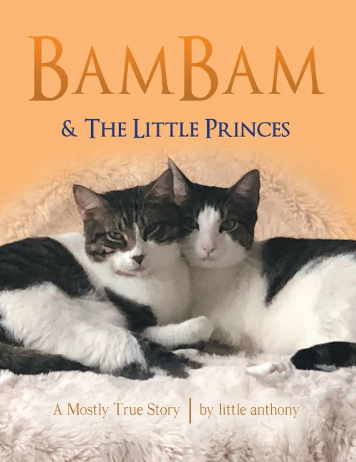Bambam & the Little Princes: A Mostly True Story
