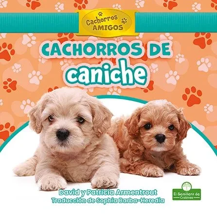 Cachorros de Caniche (Poodle Puppies) (Paperback)