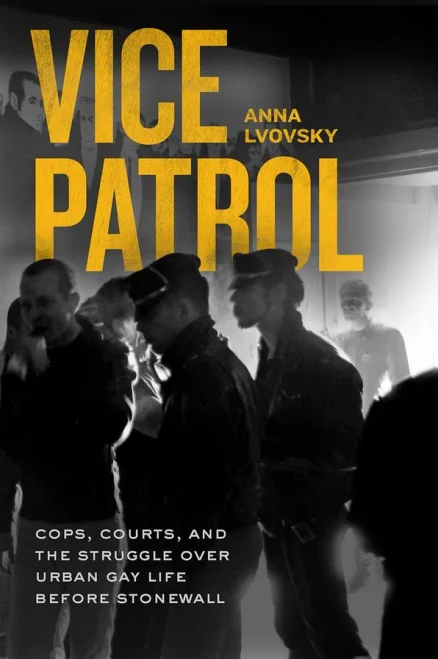 Vice Patrol: Cops, Courts, and the Struggle over Urban Gay Life before Stonewall