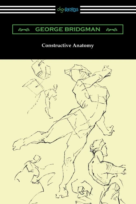 Constructive Anatomy
