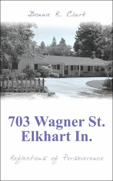 703 Wagner St. Elkhart In.: Reflections of Perseverence