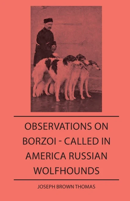 Observations On Borzoi - Called In America Russian Wolfhounds
