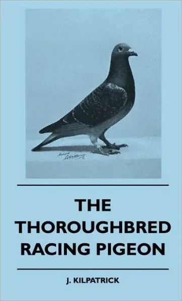 The Thoroughbred Racing Pigeon