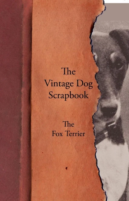 The Vintage Dog Scrapbook - The Fox Terrier