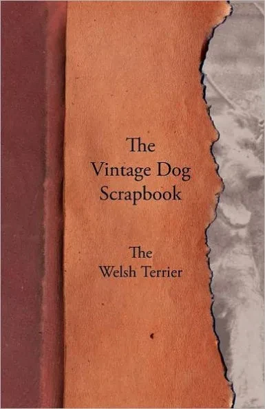 The Vintage Dog Scrapbook - The Welsh Terrier