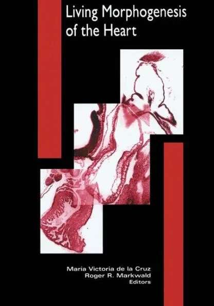 Living Morphogenesis of the Heart