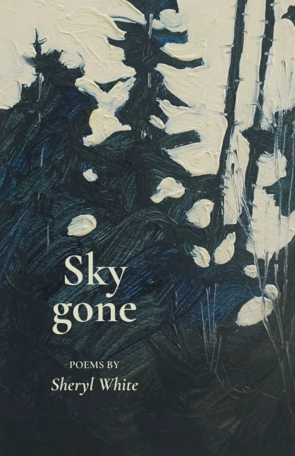 Sky gone