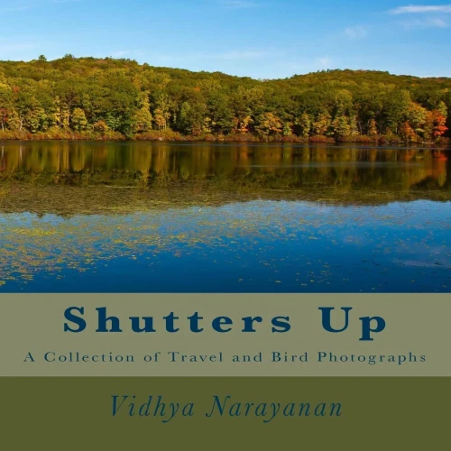 Shutters Up: A Collection of Travel and Bird Photographs