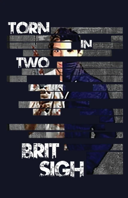 Torn in Two: The Files of Tatum Soaren