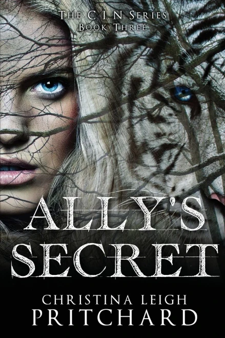 Ally's Secret (The C I N Series)