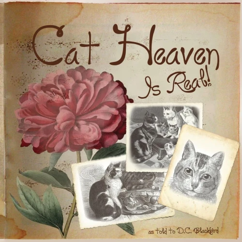 Cat Heaven Is Real