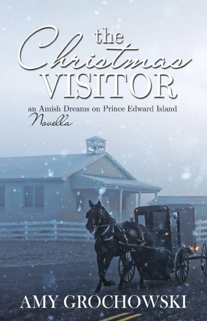 The Christmas Visitor: An Amish Dreams on Prince Edward Island Novella