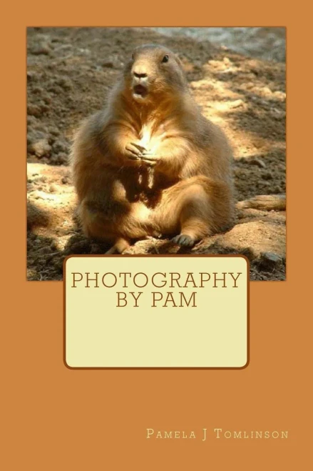 Photography by Pam
