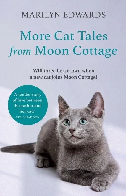 More Cat Tales From Moon Cottage