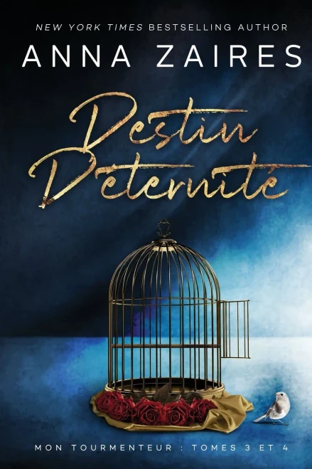 Destin dÆ?ternit? (French Edition)