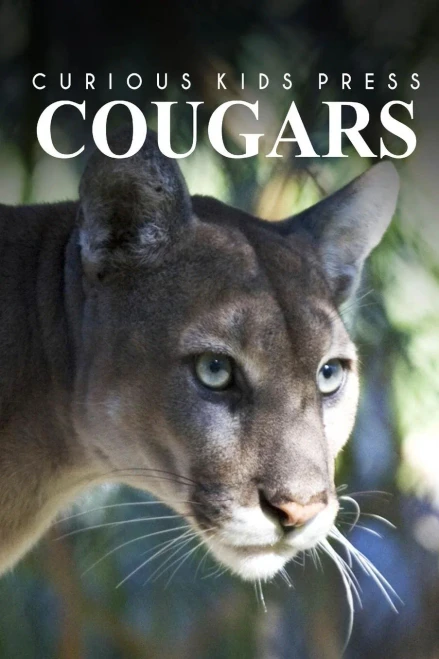 Cougars - Curious Kids Press