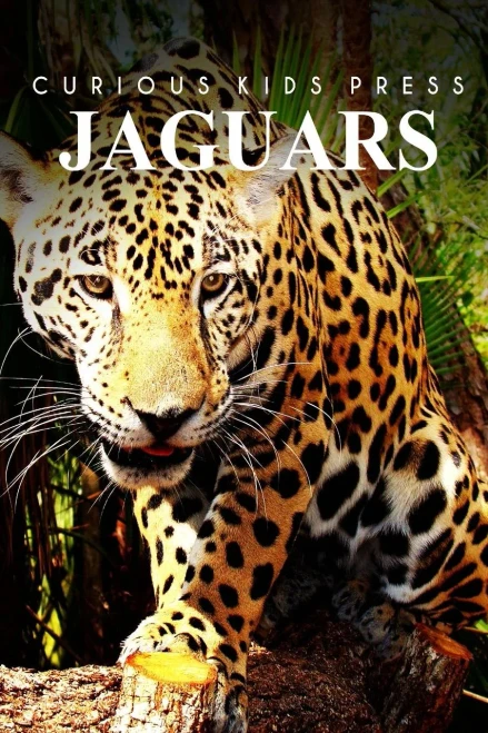 Jaguars - Curious Kids Press