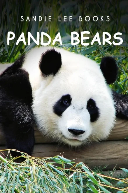 PandaBears - Sandie Lee Books
