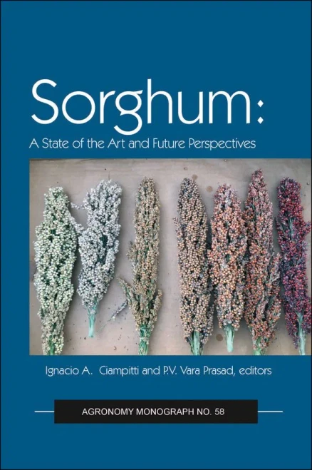Sorghum: State of the Art and Future Perspectives (Agronomy Monographs)