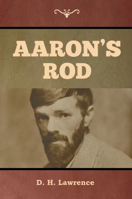 Aaron's Rod - 9781644393482