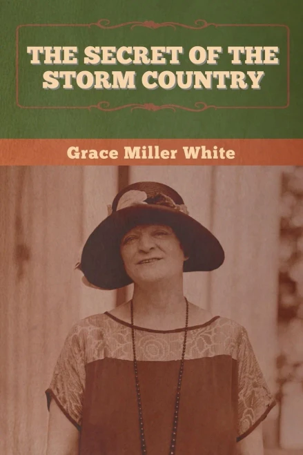 The Secret of the Storm Country - 9781647992521