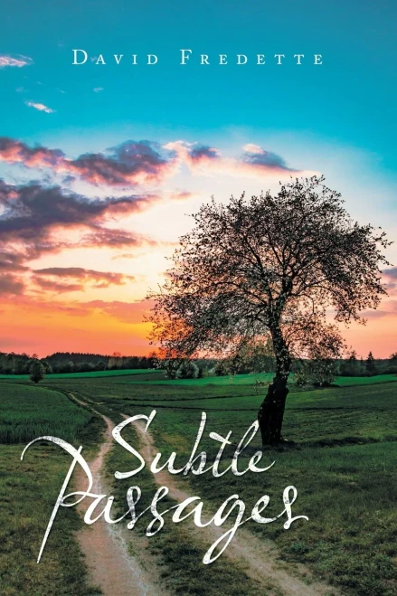 Subtle Passages - 9781664150690