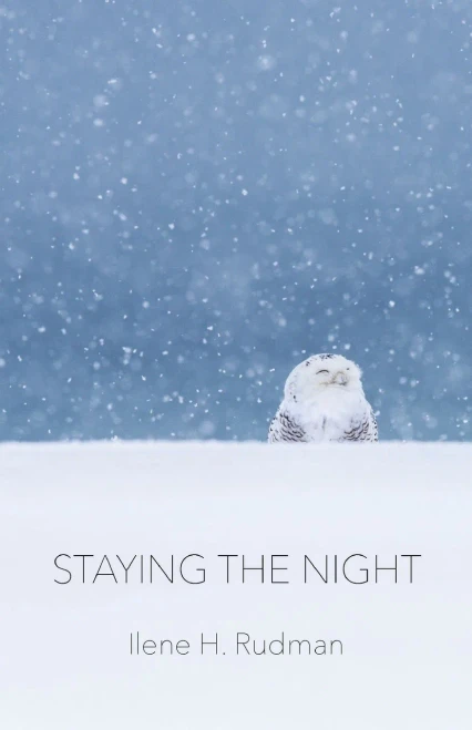 Staying The Night - 9781646626663