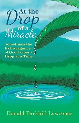 At the Drop of a Miracle: Sometimes the Extravagance of God Comes a Drop at a Time - 9781664202702