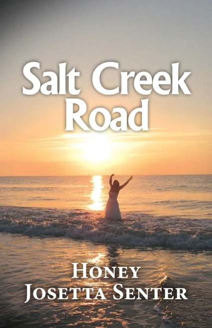 Salt Creek Road - 9781641844116