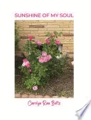 Sunshine of My Soul - 9781638672982