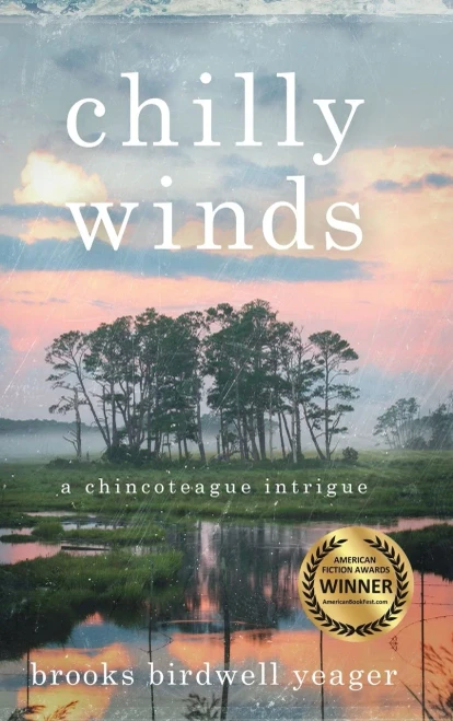 Chilly Winds - 9781646632305