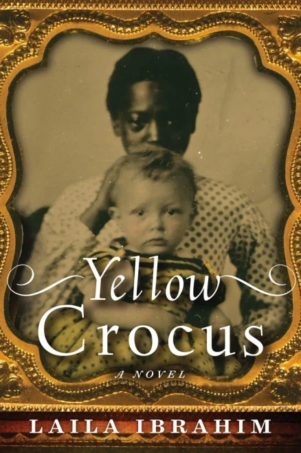 Yellow Crocus