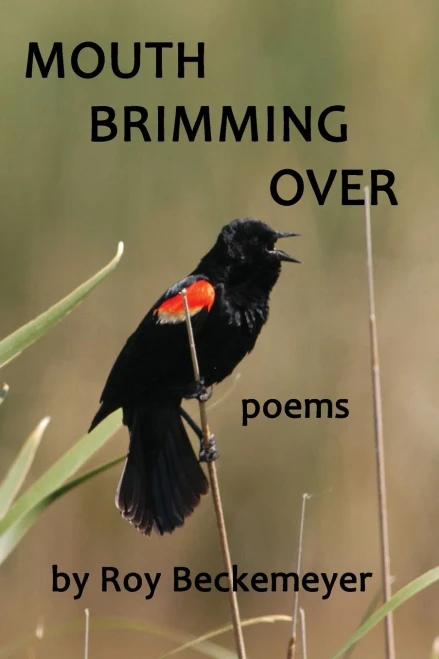 Mouth Brimming Over: Poems