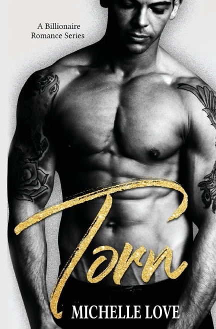 Torn: A Billionaire Romance Series