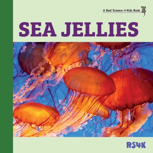 Sea Jellies