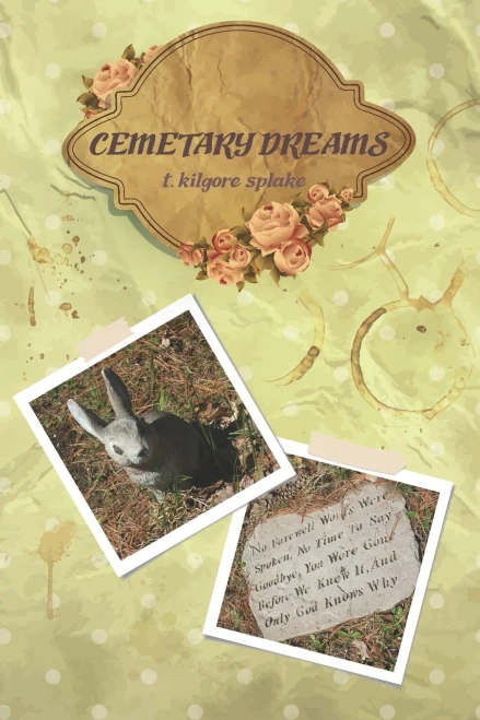 Cemetery Dreams