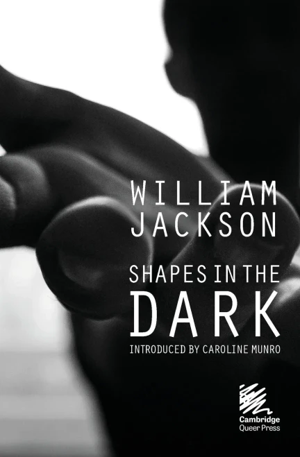 Shapes in the Dark