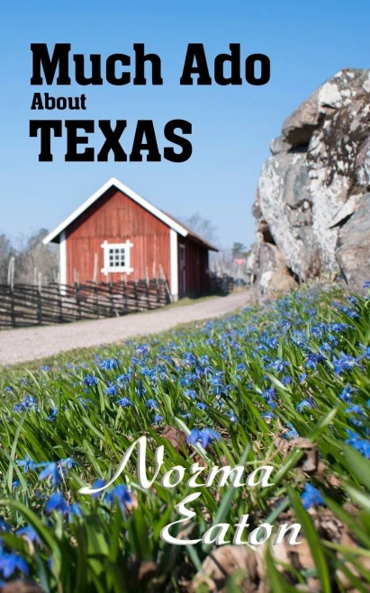 Much Ado About Texas