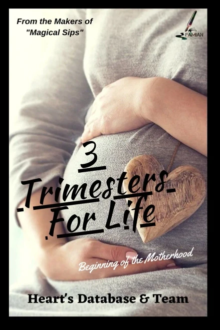 3 Trimesters For Life